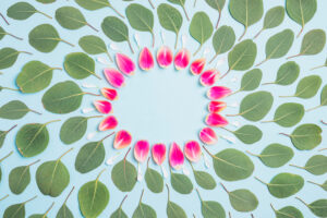 How to create safe circle?